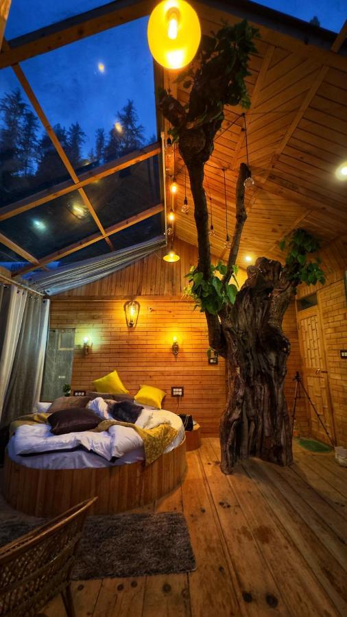 Cloudwalk Treehouse Villa Jibhi Luaran gambar